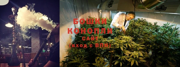 индика Горняк